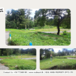 A Residential Land For Sale in Homagama. Visit RealMark.lk or Contact 0772488100 Now, for more Information!