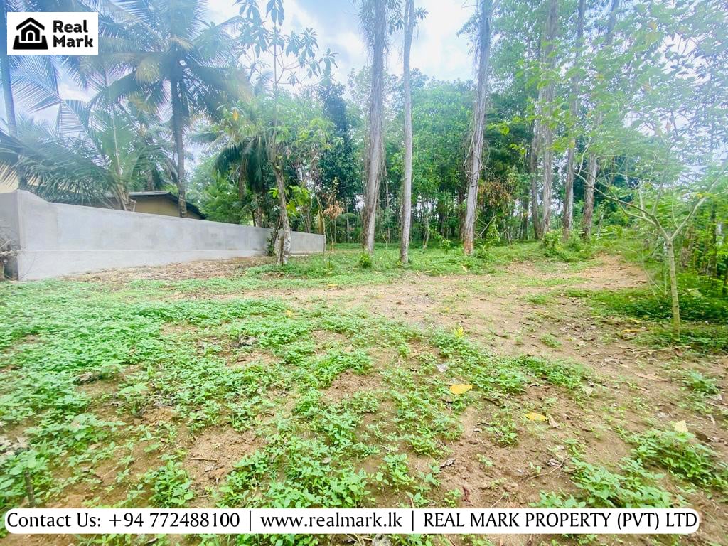 Land-for-Sale-in-Homagama-Town-for-an-Affordable-Price-image-5-from-RealMark.lk