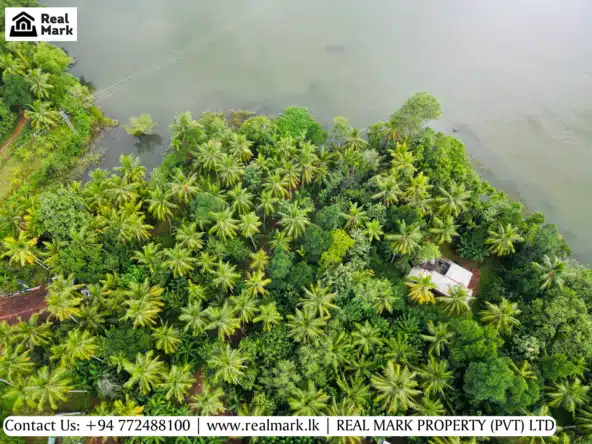 A lakefront agricultural land for sale in Udawalawa. Visit RealMark.lk or Contact 0772488100 Now, for more Information!