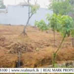 A Residential Land for Sale in Panagoda. Visit RealMark.lk or Contact 0772488100 Now, for more Information!