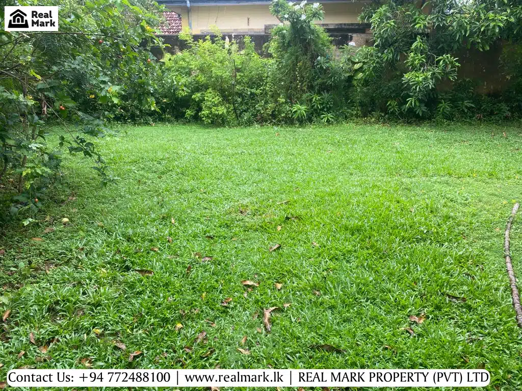 Land for sale in Dehiwala is suitable for a residential development as well as a business venture such as a villa or a spa due to its accessibility.