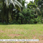 Land for Sale in Homagama. Visit RealMark.lk or Contact 0772488100 now, for more Information!