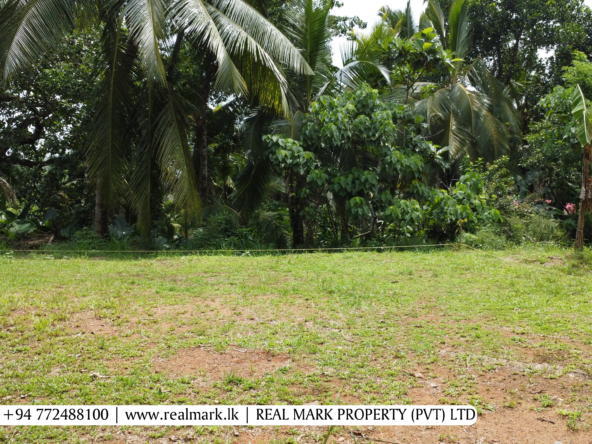 Land for Sale in Homagama. Visit RealMark.lk or Contact 0772488100 now, for more Information!