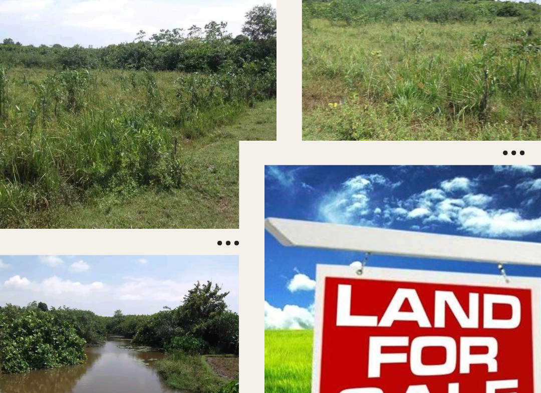 Land Suitable for a Villa for Sale in Beruwala. Visit RealMark.lk or Contact 0772488100 now for more Information!