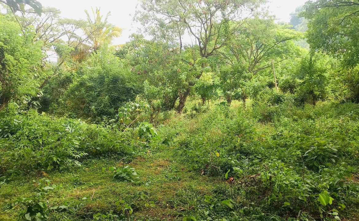 Land for Sale in Matale. Visit RealMark.lk or Contact 0772488100 now for more Information!