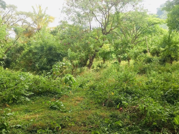 Land for Sale in Matale. Visit RealMark.lk or Contact 0772488100 now for more Information!