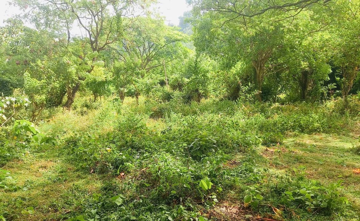 Land for Sale in Matale. Visit RealMark.lk or Contact 0772488100 now for more Information!